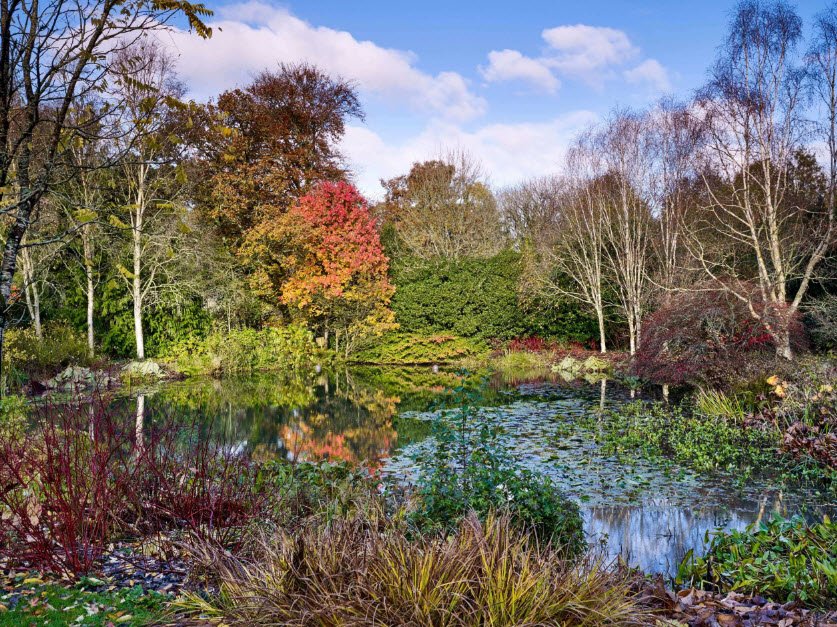 RHS Garden Rosemoor, United Kingdom